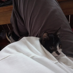 老师把学生带回家做爱视频大全
